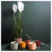 Potted Oslo Planter Small - Parchment | Koop.co.nz
