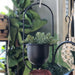Stoneleigh & Roberson Small Black Metal Hanging Planter (40cm) | Koop.co.nz