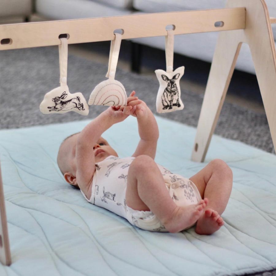 Burrow & Be Hanging Baby Rattle Set (3pc) | Koop.co.nz