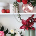 Griff Pink Daisy Planter (13.5cm) | Koop.co.nz