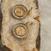 Queen Of The Foxes Gold Disc Seraph Earrings | Koop.co.nz