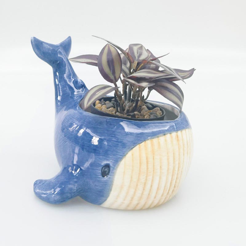 Reef Whale Planter