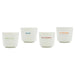 Keith Brymer Jones Egg Cup Set/4 - What Came First | Koop.co.nz