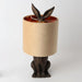 Le Forge Bunny Lamp - Brown/Champagne (43cm) | Koop.co.nz
