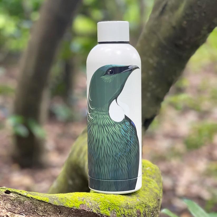 Insulated Stainless Steel Water Bottle - Tui (500ml)