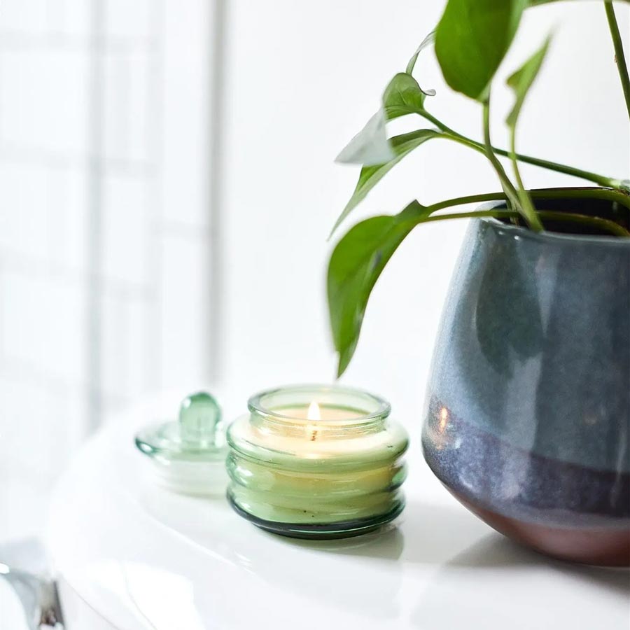 Beam Candle - Cactus Flower