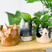 Urban Products Teal Blue Cat Planter (14cm) | Koop.co.nz