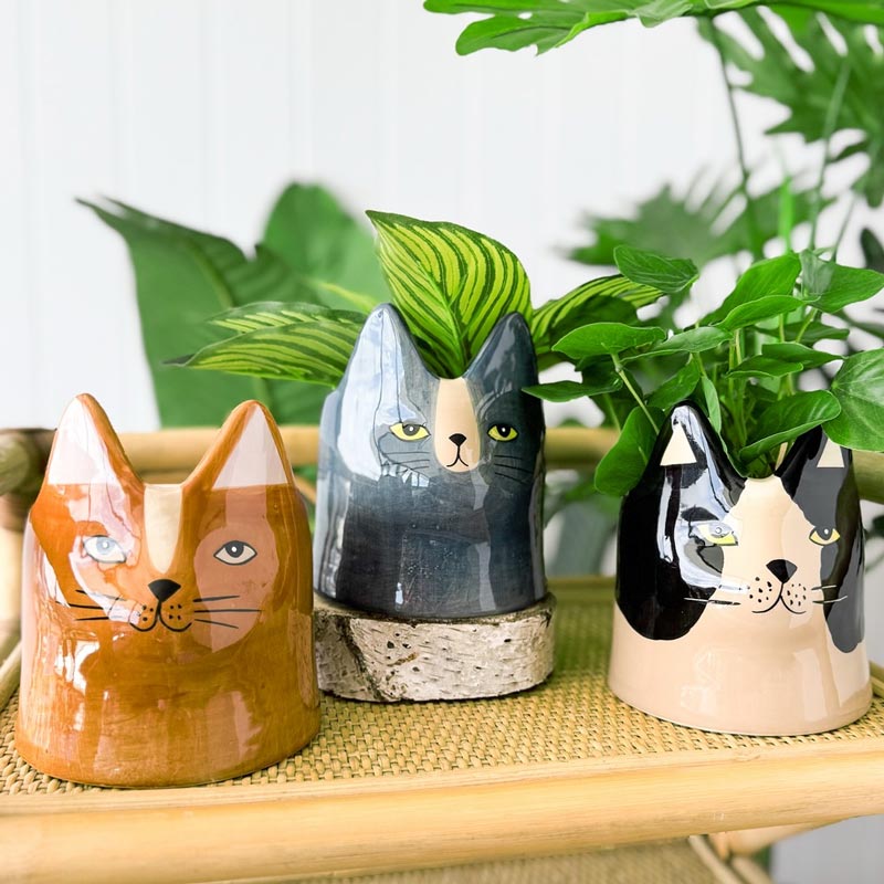 Urban Products Teal Blue Cat Planter (14cm) | Koop.co.nz
