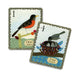 eeBoo Counting Birds Wall Cards (1-10) | Koop.co.nz