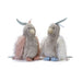 Nana Huchy Mr Parrot Soft Toy & Music Box | Koop.co.nz