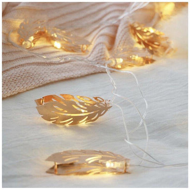 Stellar Haus Champagne Feather LED Fairy Lights (2m) | Koop.co.nz