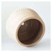Urban Products Kyra Squat Planter - Terracotta (11.5cm) | Koop.co.nz