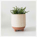Urban Products Kyra Planter With Legs - Terracotta (12cm) | Koop.co.nz
