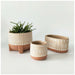 Urban Products Zuri Oblong Planter - Terracotta (13.5cm) | Koop.co.nz