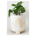Urban Products Elemental Rainbow Planter (15cm) | Koop.co.nz