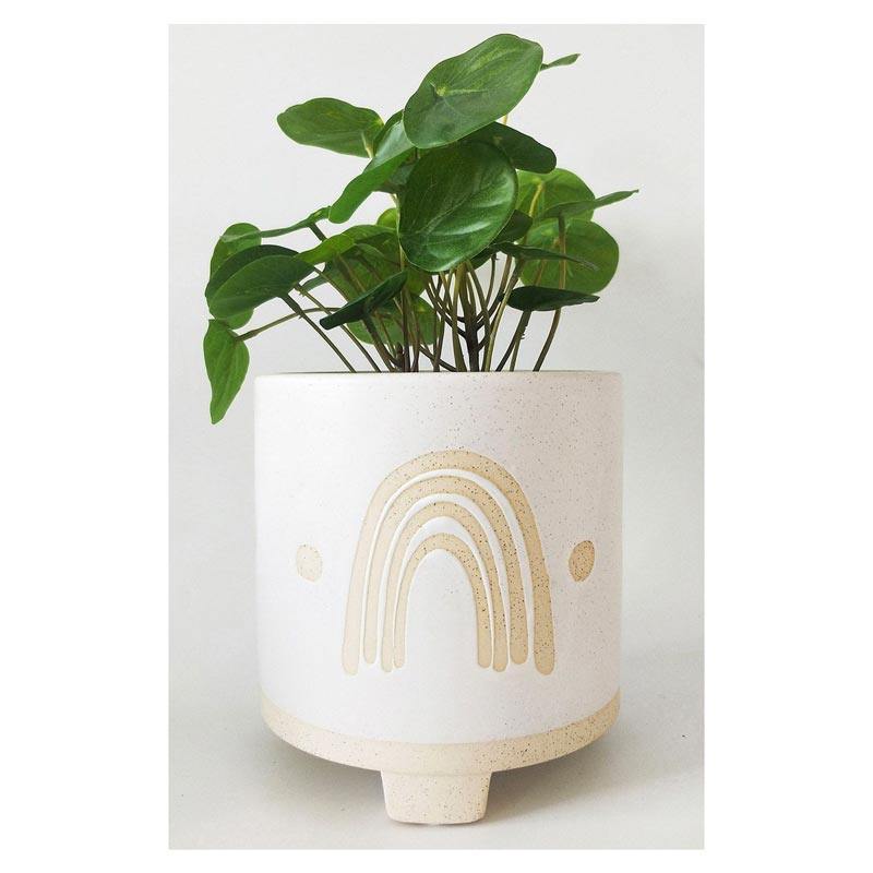 Urban Products Elemental Rainbow Planter (15cm) | Koop.co.nz