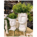 Le Forge Angelo Face Vase - Large (33cm) | Koop.co.nz