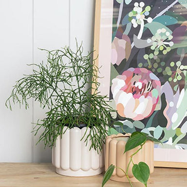 Potted Vienna Planter Small - Nude | Koop.co.nz