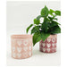 Urban Products Love Sketch Planter - Pink (13.5cm) | Koop.co.nz