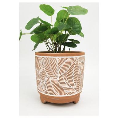 Urban Products Corby Leaf Planter - Terracotta (13cm) | Koop.co.nz