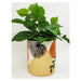 Urban Products Willa Foliage Planter - Medium | Koop.co.nz