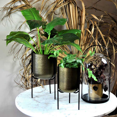 Roam & Loom Brass Planter Pot & Stand (Set of 2) | Koop.co.nz