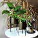 Roam & Loom Brass Planter Pot & Stand (Set of 2) | Koop.co.nz