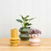Potted Hanover Planter Small - Parchment | Koop.co.nz