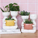 Urban Products Friends Holding Pot Planter - Rose (20.5cm) | Koop.co.nz