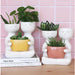 Urban Products Friends Holding Pot Planter - Mustard (20.5cm) | Koop.co.nz