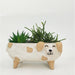 Urban Products White Dog Planter | Koop.co.nz