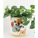 Urban Products Marziah Foliage Planter - Medium (16.5cm) | Koop.co.nz