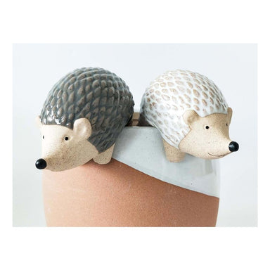 Urban Products Hedgehog Pot Hanger / Decoration | Koop.co.nz