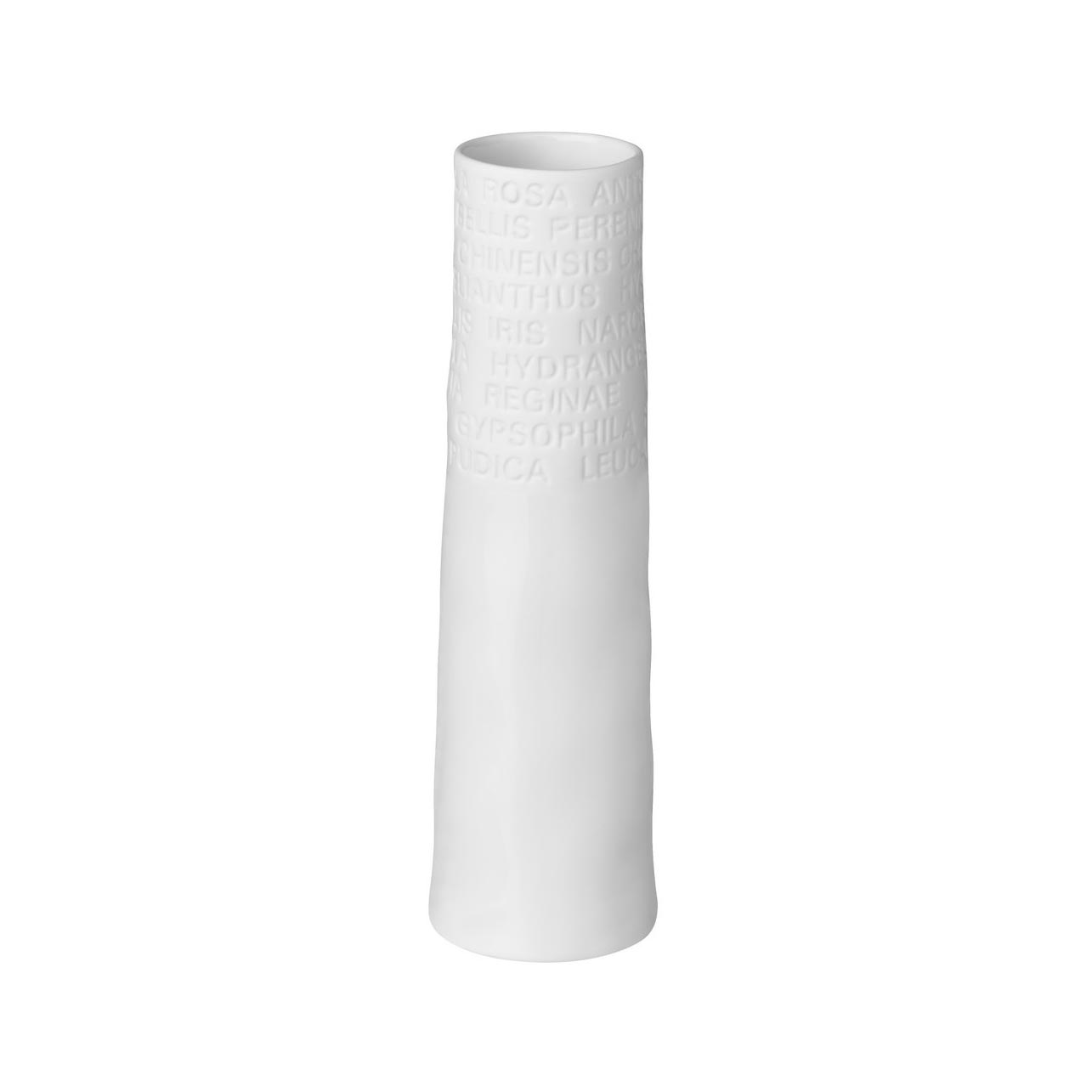 Rader Small Poetry Vase (17cm) | Koop.co.nz