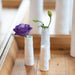 Rader Mini Poetry Vase Set/3 | Koop.co.nz