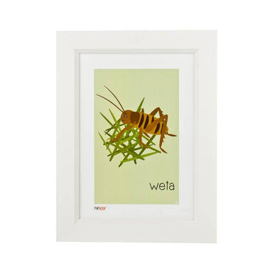 Pint Size Weta Print (A4) | Koop.co.nz